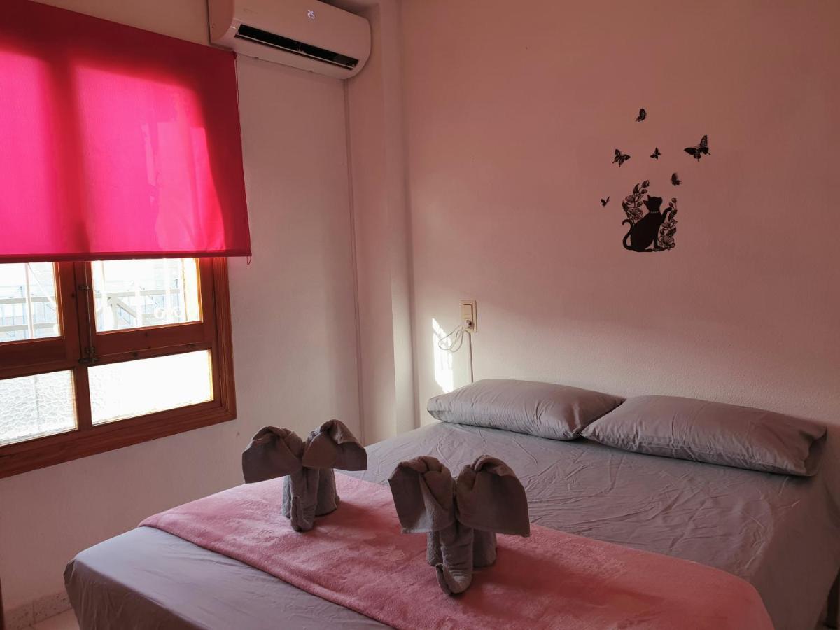 Penthouse Residencial Virginia Apartment Torrevieja Bagian luar foto